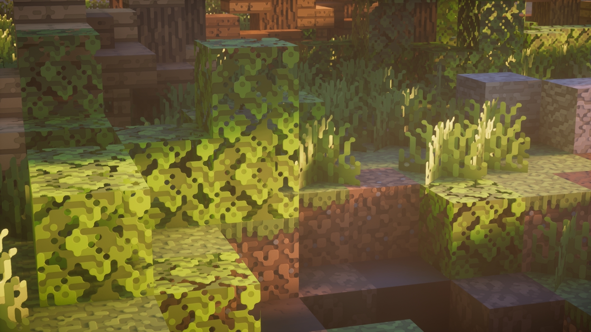 Image showcasing updated textures.