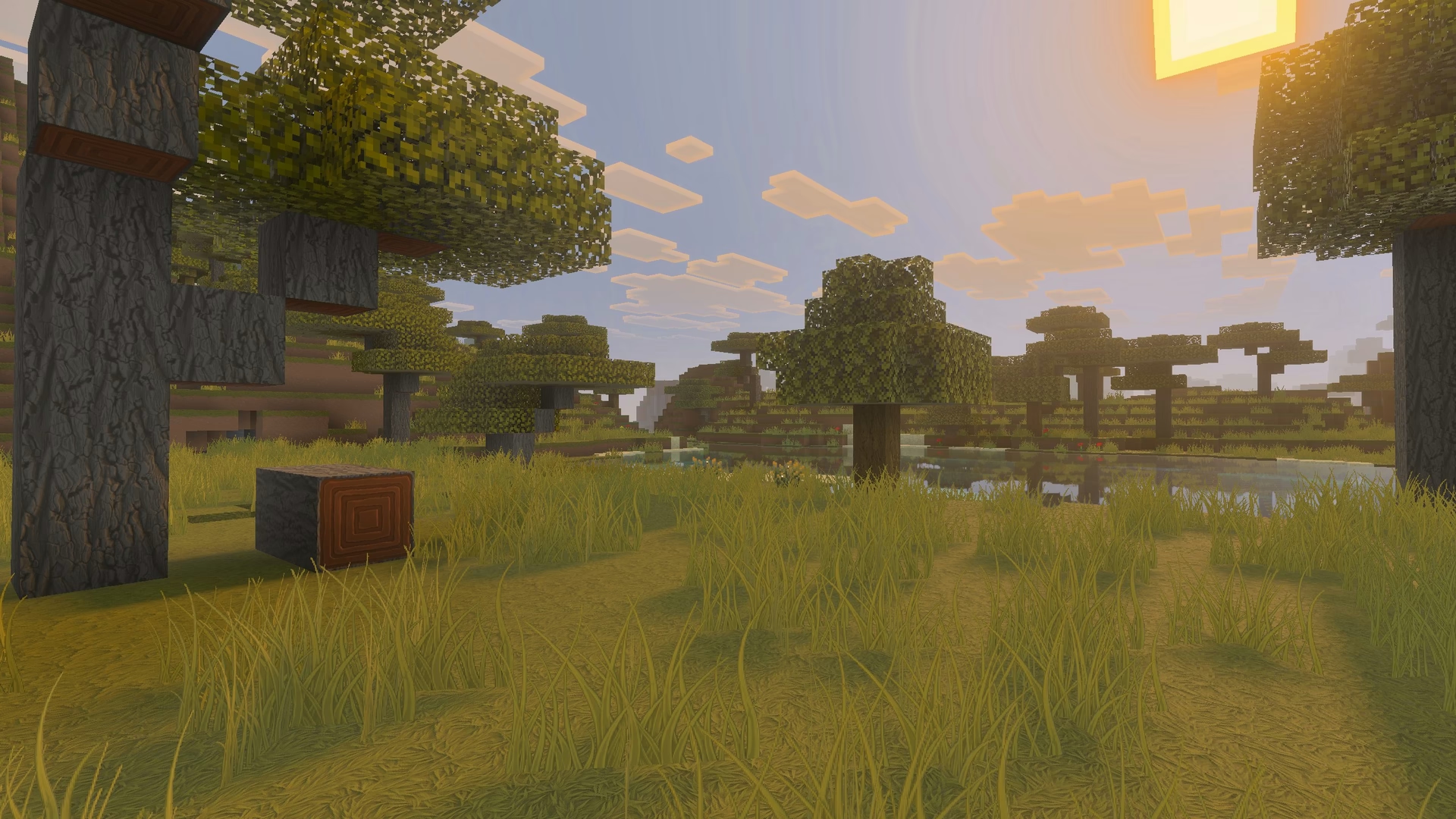 Overworld screenshot with Stylista resource pack release 2, showcasing that the outline issue on the grass textures has been fixed.