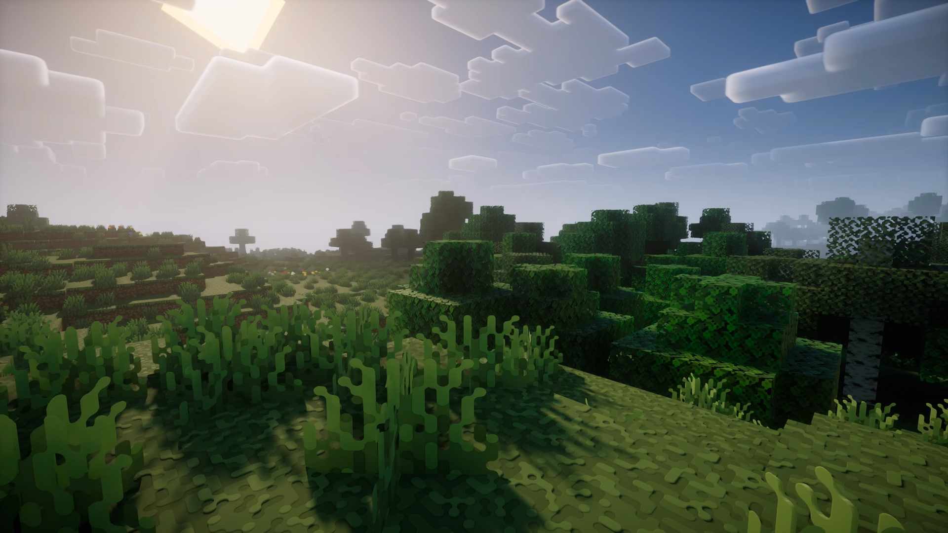 translucent textures fixed in release 32 of roundista