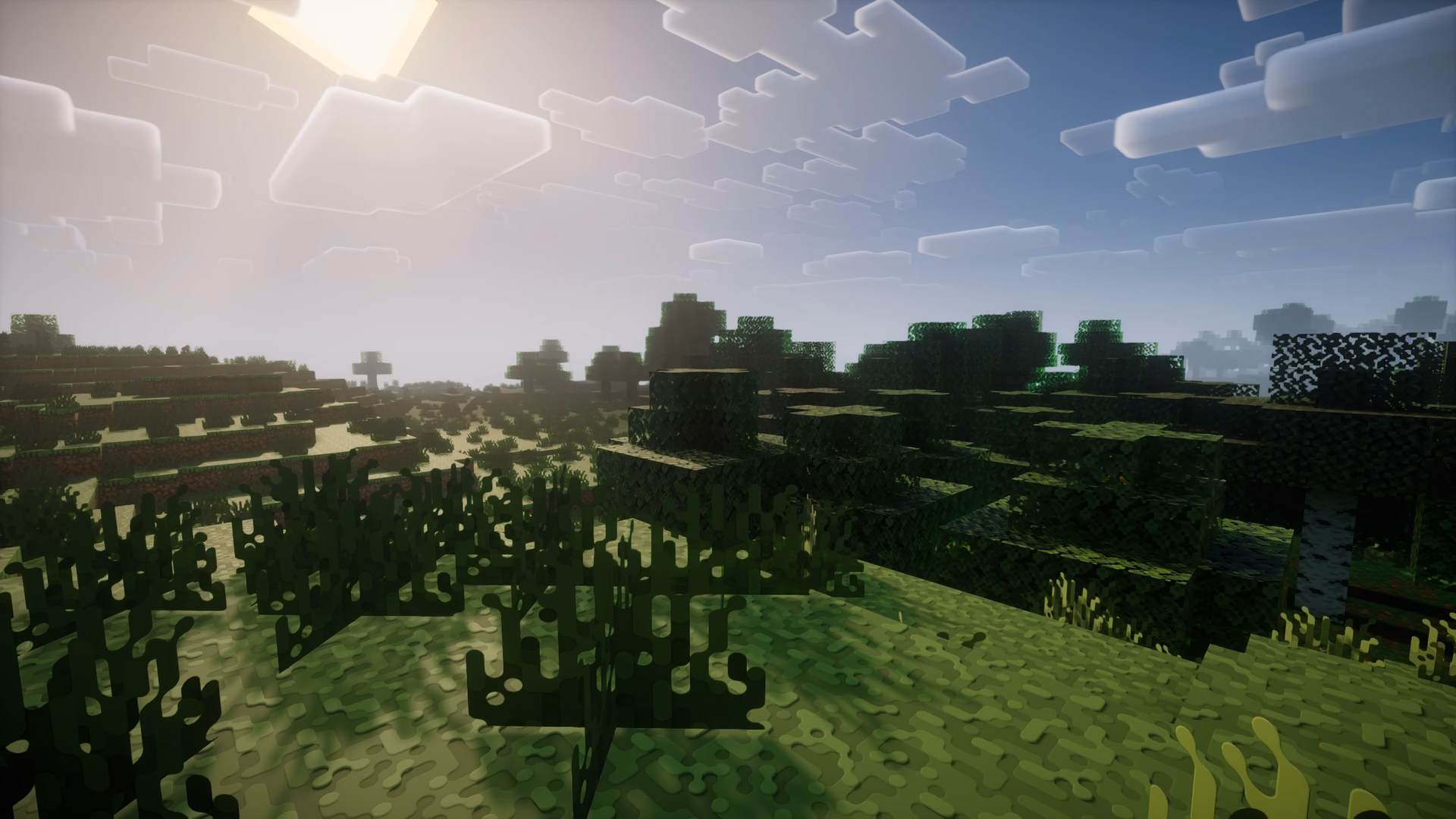texture rendering as translucent in roundista release 31