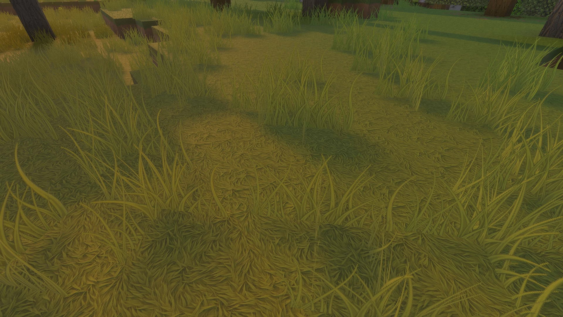 soft shadows focused screenshot using stylista release 2