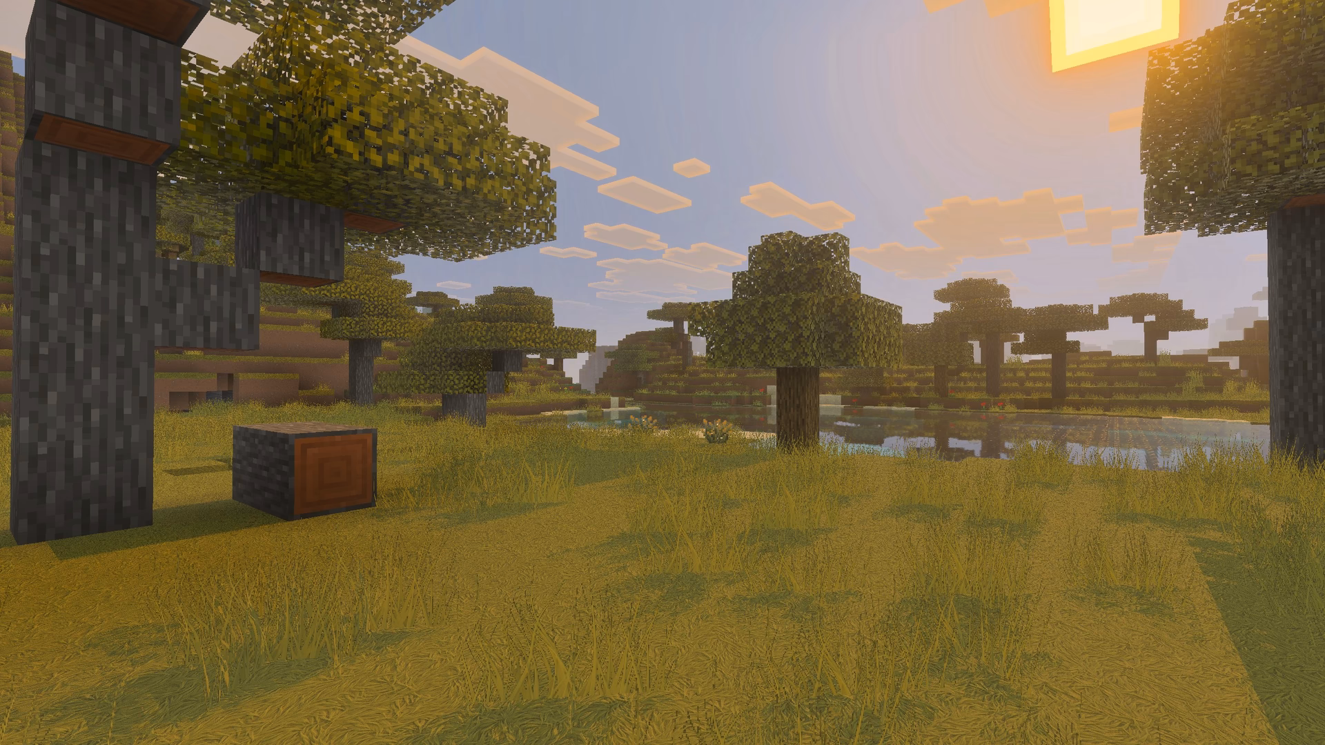 Overworld screenshot with Stylista resource pack release 1, showcasing the outline issue on the grass textures.