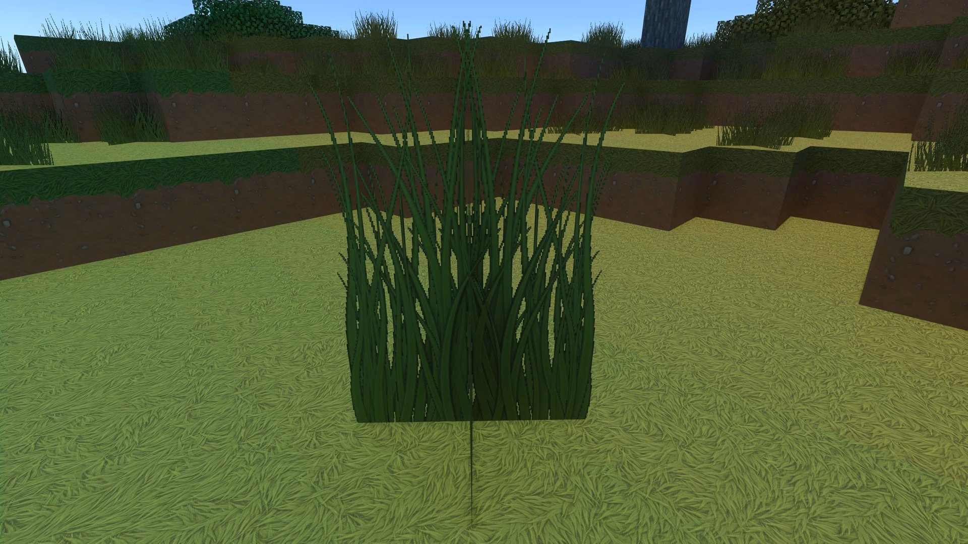 tall_grass texture mirrored due to a bug in stylista release 1