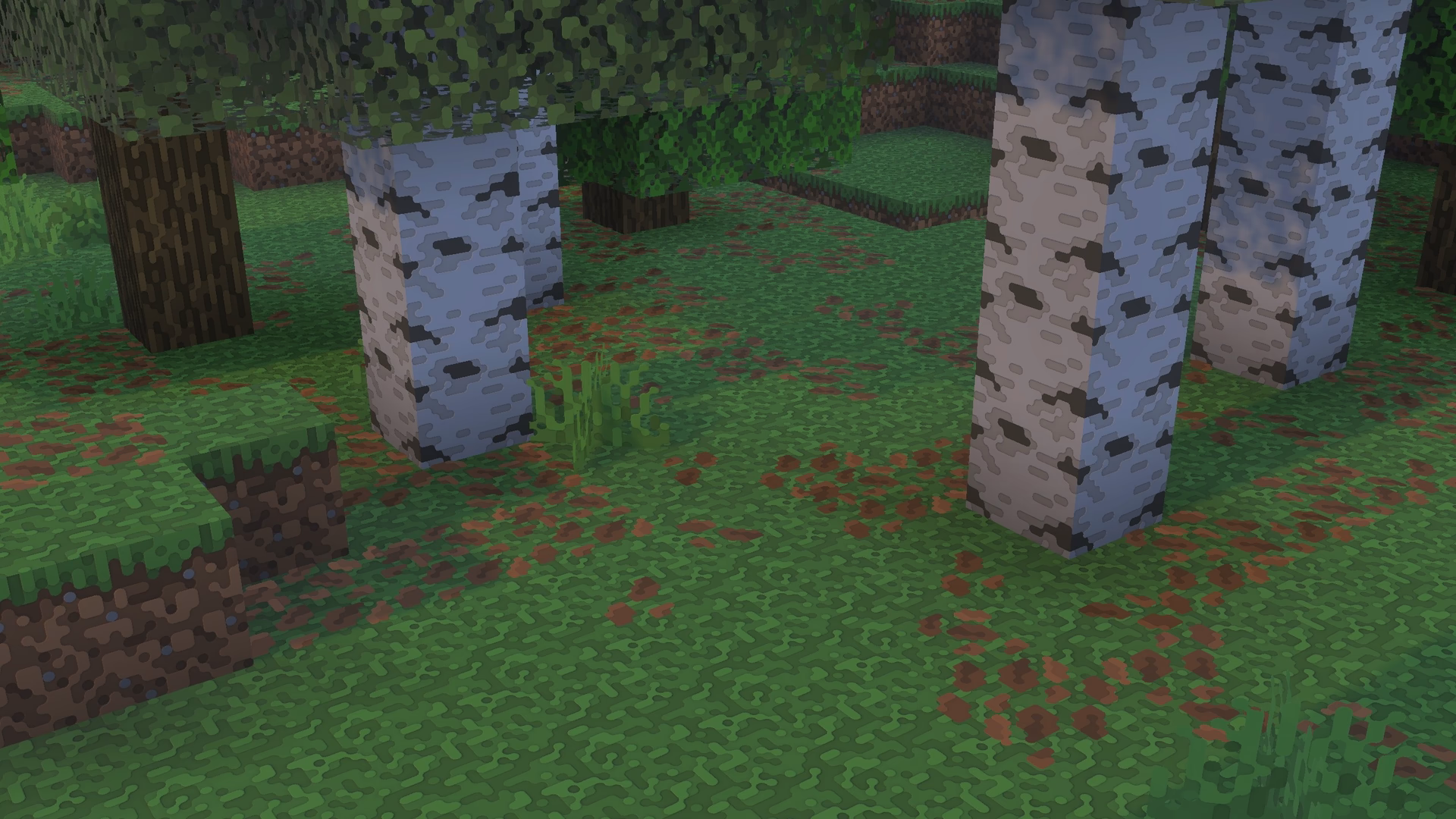 A tree showcased using roundista