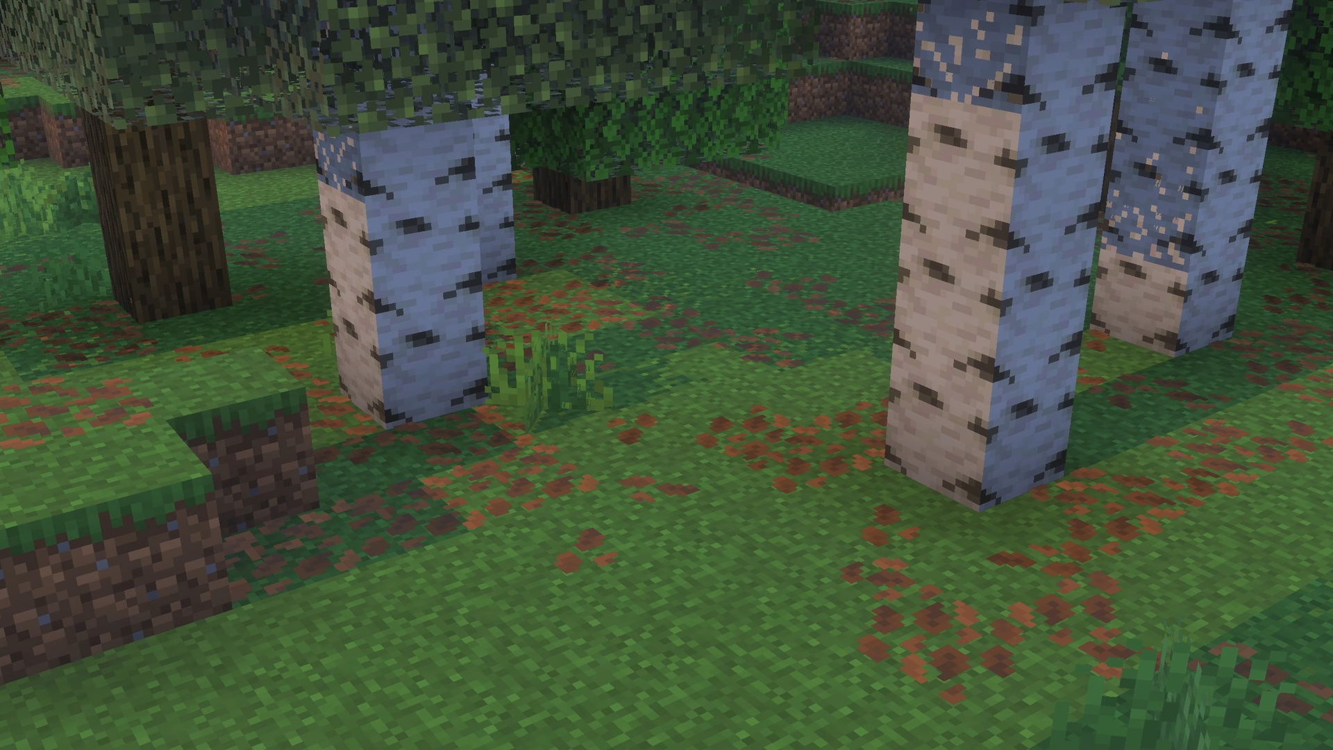 A tree showcased using roundista