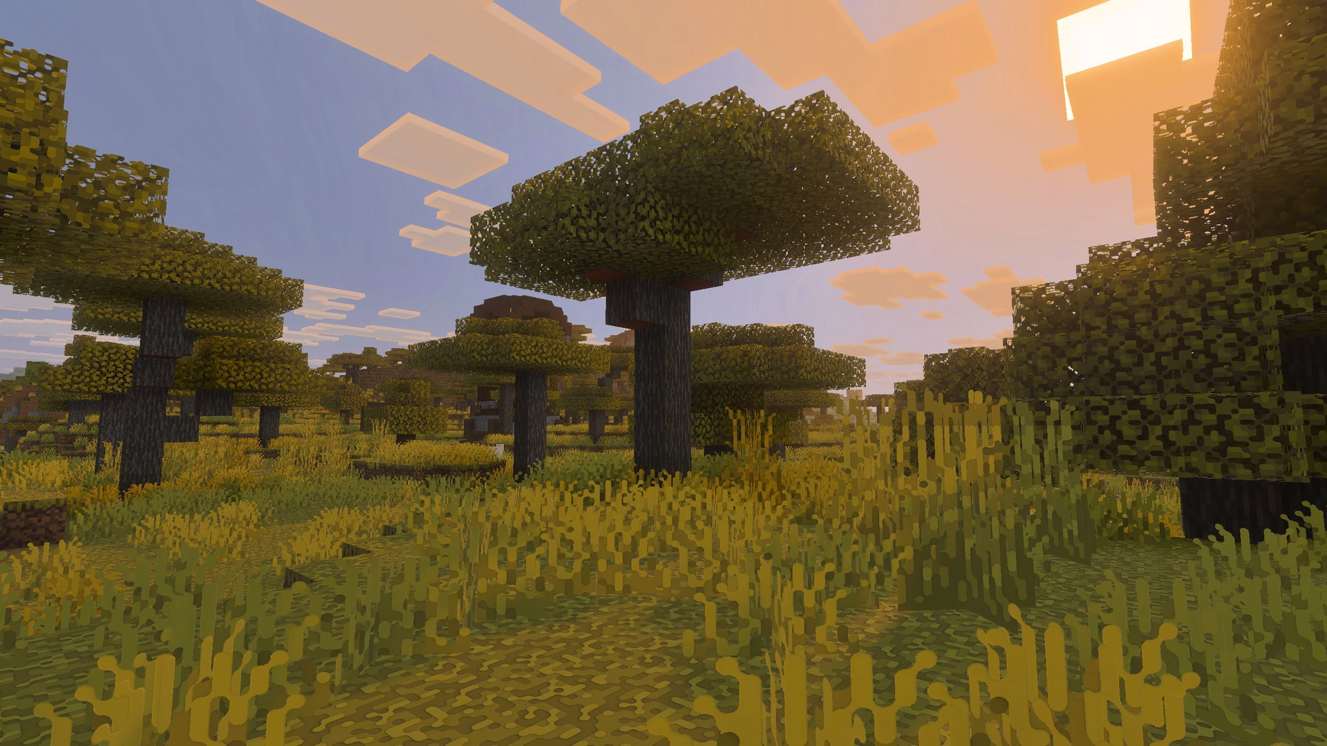 Some showcase using Roundista.
