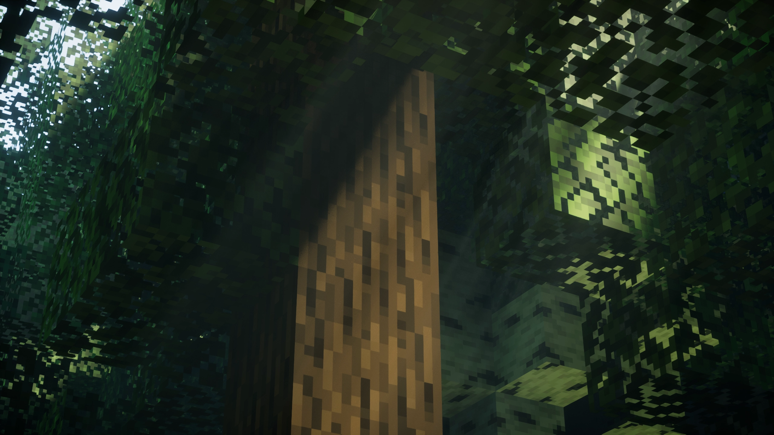 A tree showcased using roundista