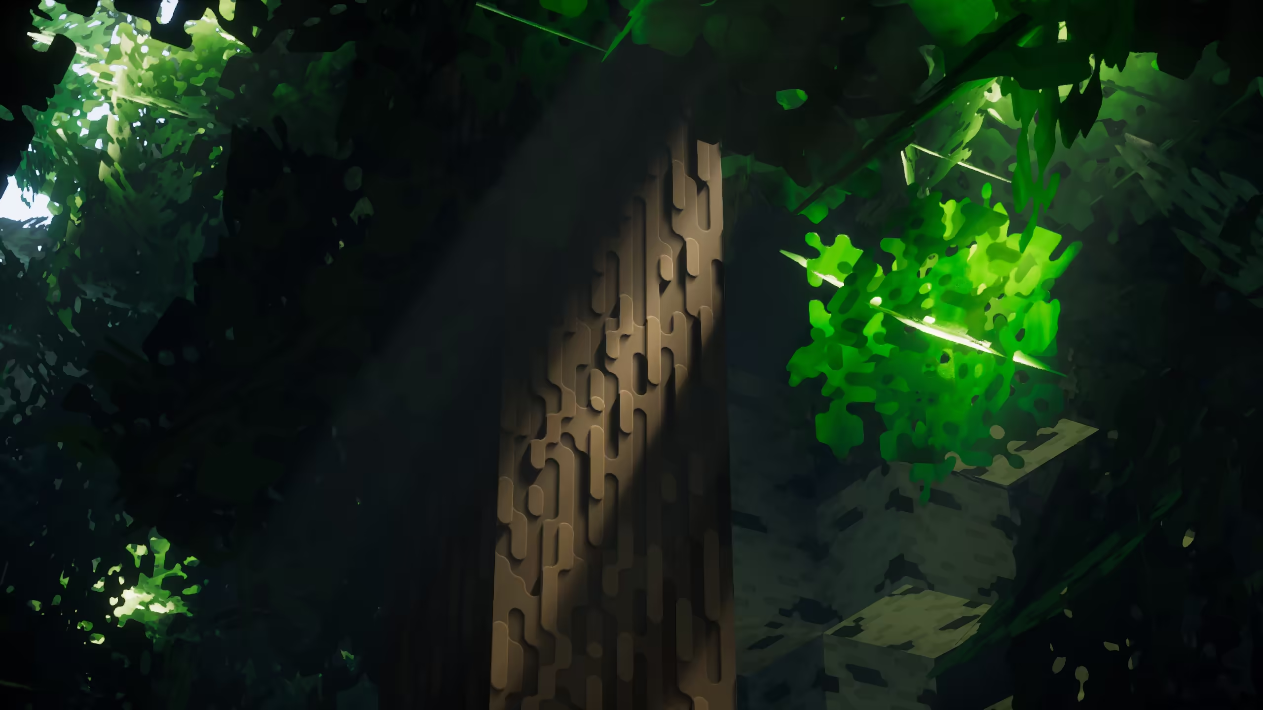 Visual rep of pack roundista