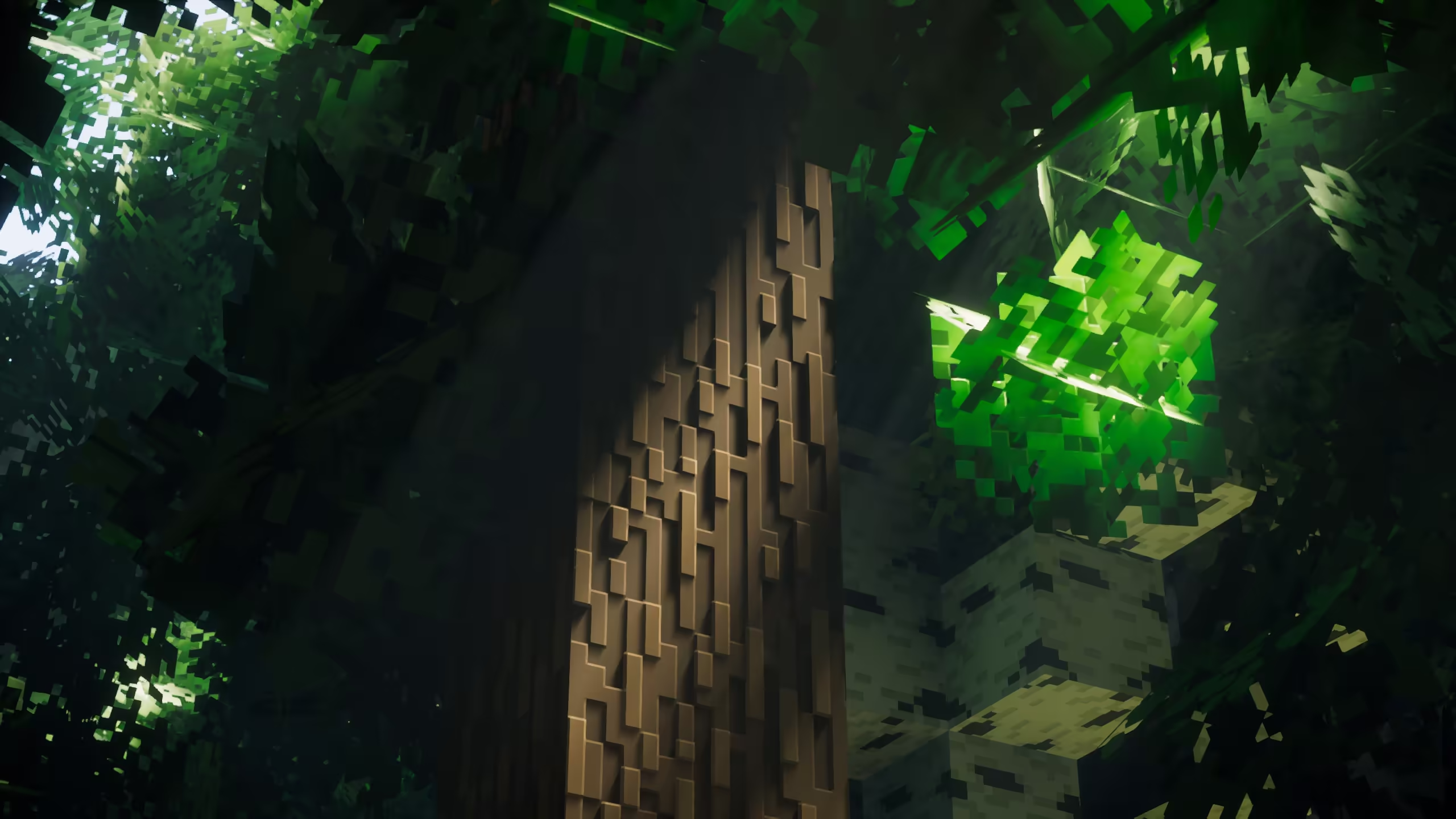 Visual rep of pack simplista
